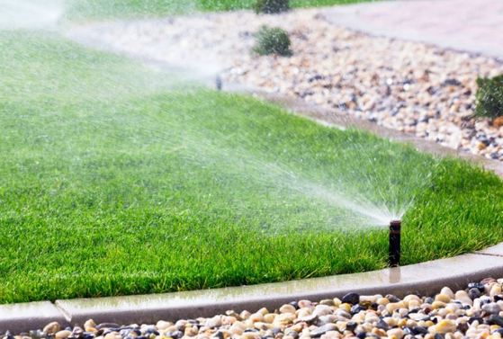 Irrigation Systems arizona