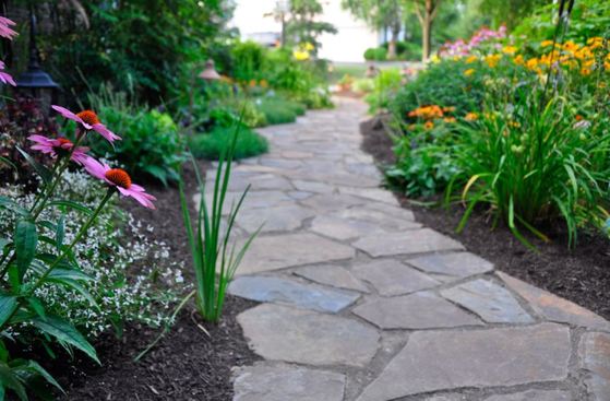 landscape design