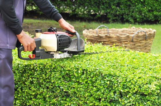 landscape maintenance